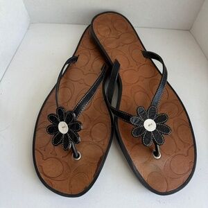 Coach Lucie Daisy Thong Sandal